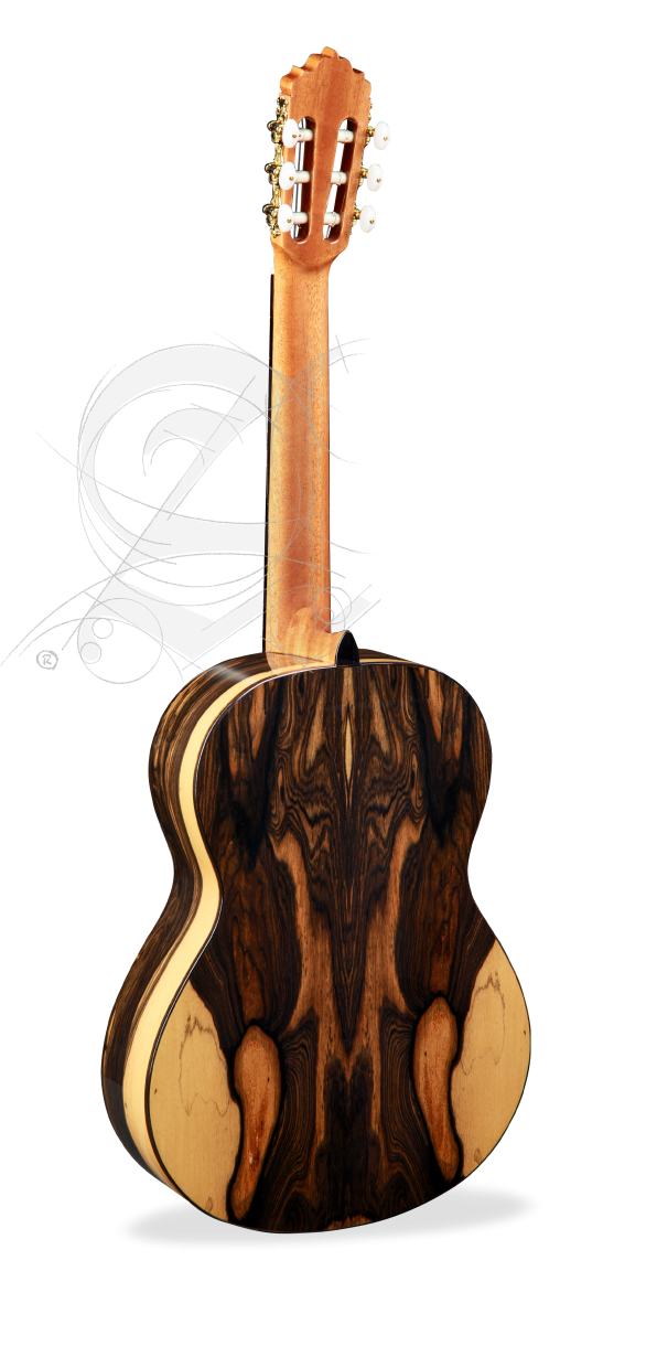 alhambra-6-ebano-blanco-incl-gig-bag_67c875c68424f.png
