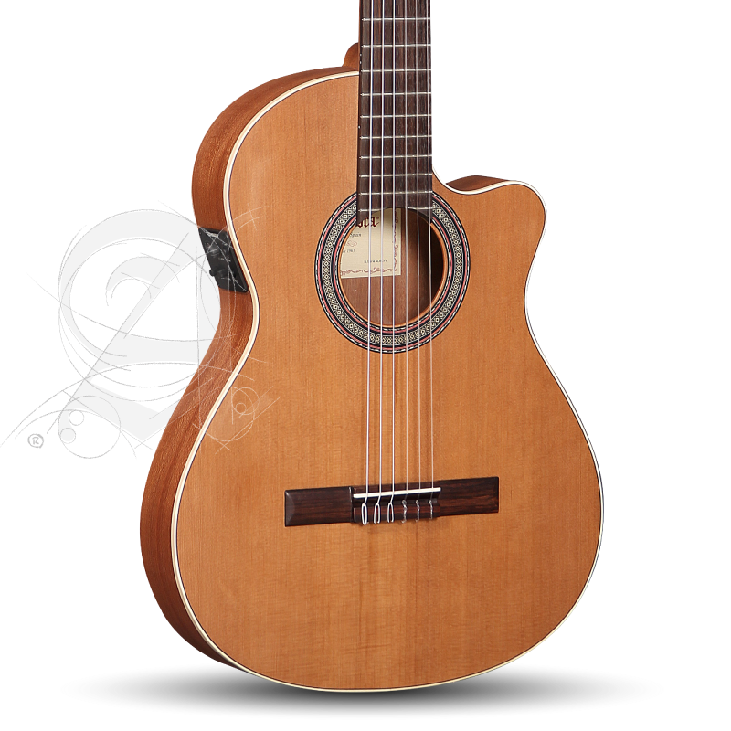 alhambra-z-nature-ct-ez-incl-gig-bag_67c83b77c0508.png