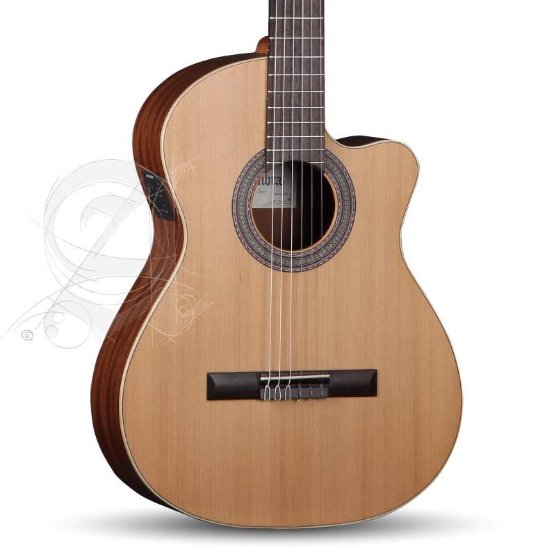alhambra-z-nature-cw-ez-incl-gig-bag_67c86b9d5cabe.png