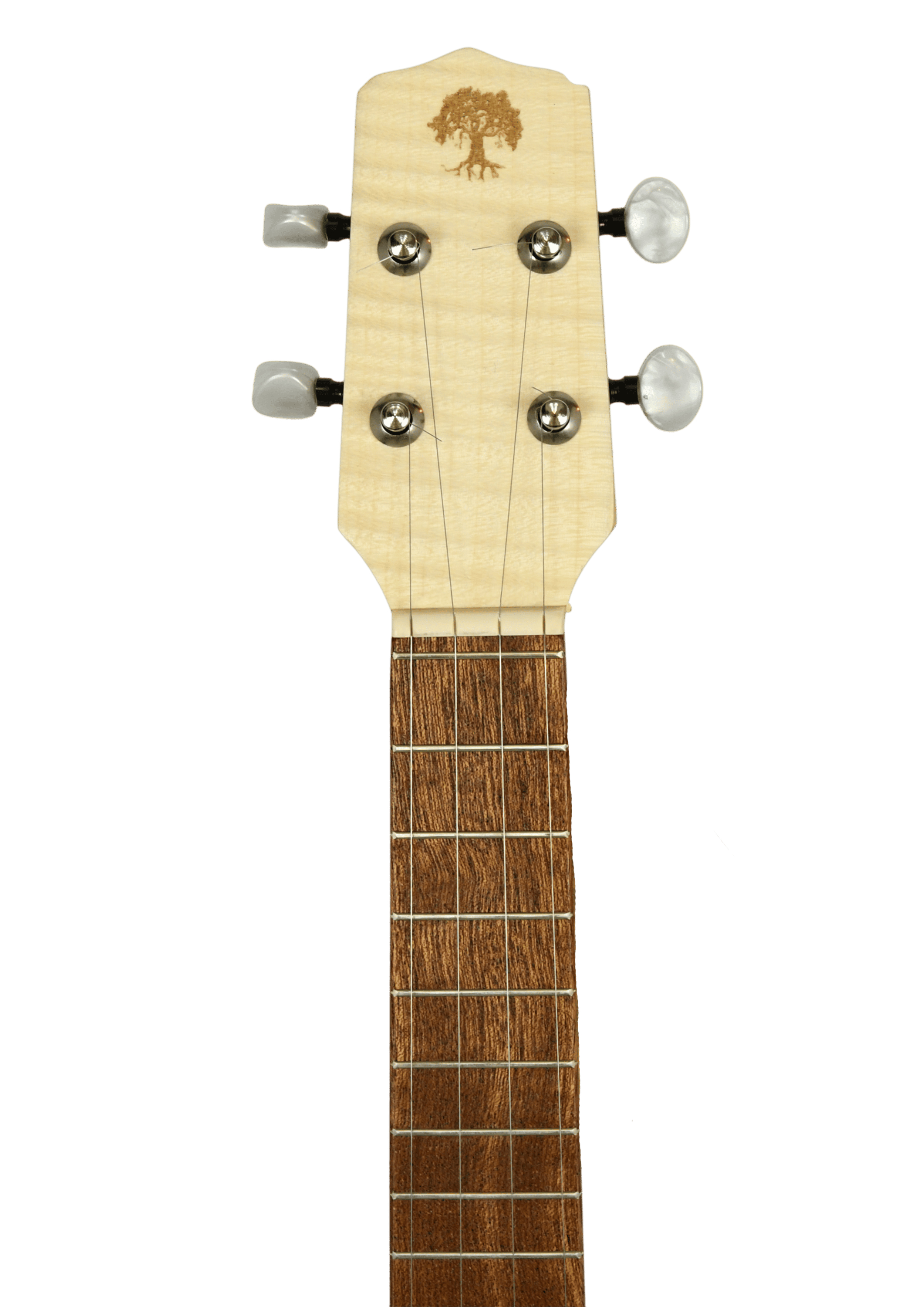 apc-cavaquinho-4-cordas_6ac9153af3d5b.jpg