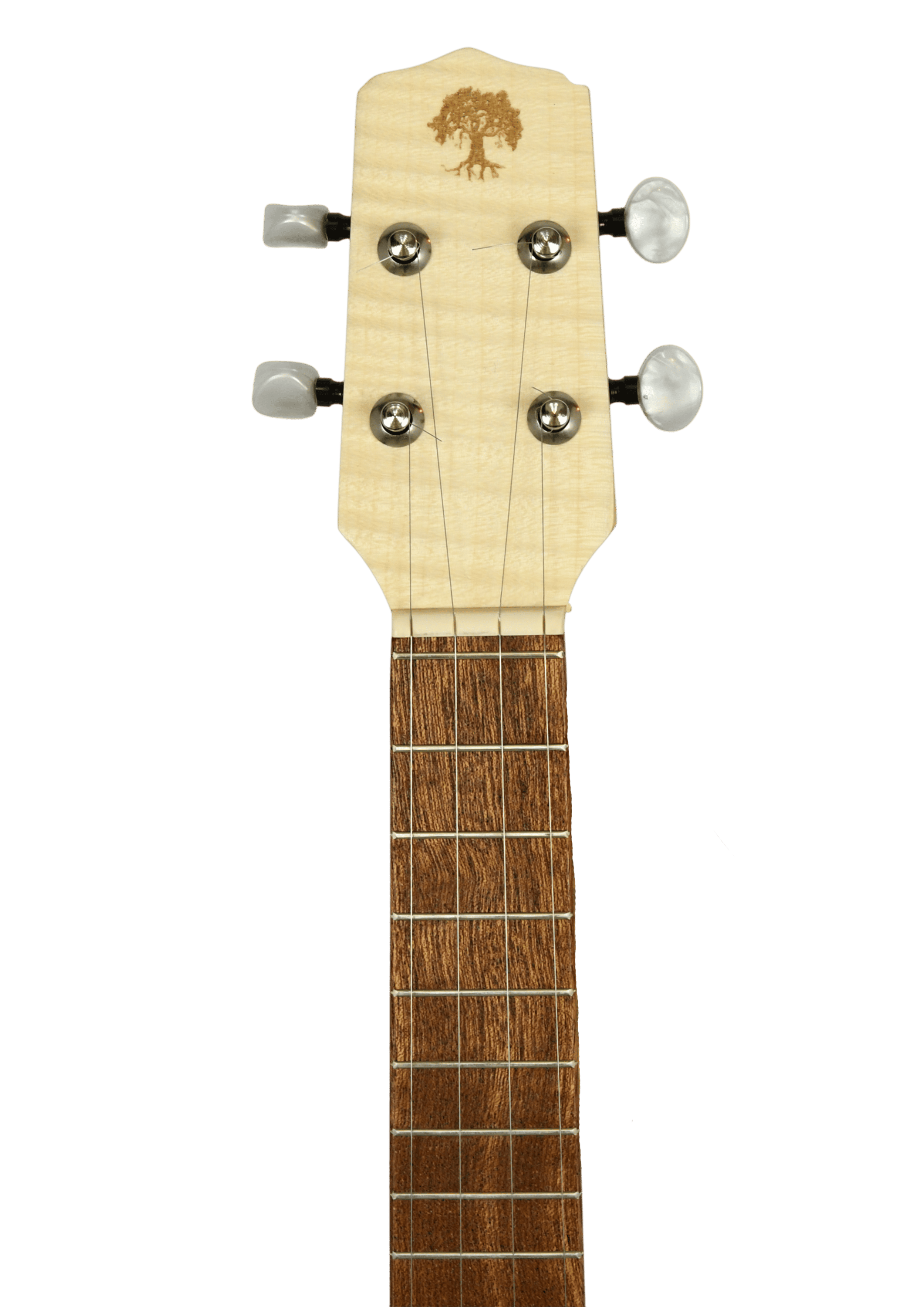 apc-cavaquinho-4-cordas_6ac9153af3d5b.png