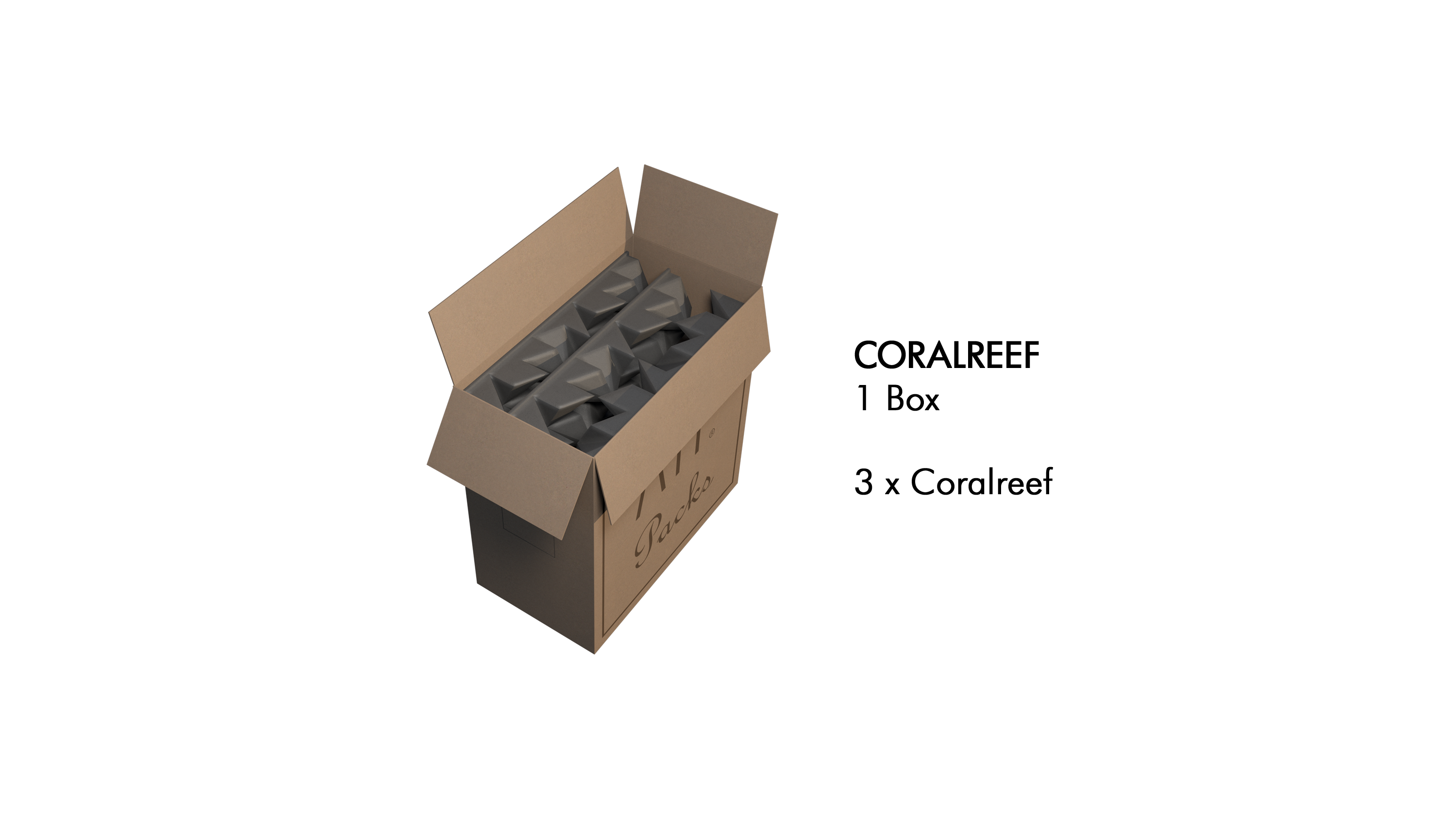atp-coralreef-preto-3-unidades_68f270015400e.png