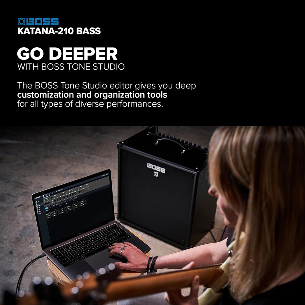 bboss-katana-210-bass-combo-de-baixo-profissional-classe-ab-300-watts-b_681b257f17315.png