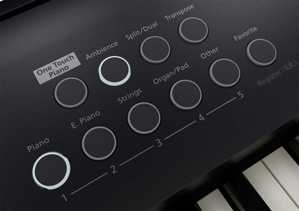 bpack-piano-roland-fp-e50-saco-transporte-almofadado-roland-cb-b88v2-b_6814e125e6720.png