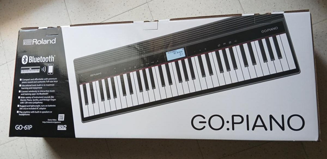 broland-go-piano-61-go-61p-conjunto-piano-portatil-e-saco-transporte-roland-cb-gokp61-b_685e48788f822.jpg
