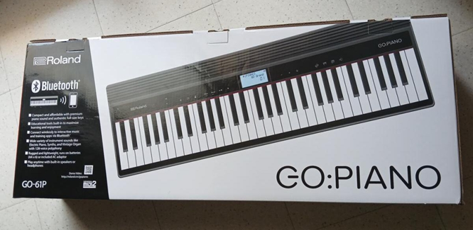 broland-go-piano-61-go-61p-conjunto-piano-portatil-e-saco-transporte-roland-cb-gokp61-b_685e48788f822.png