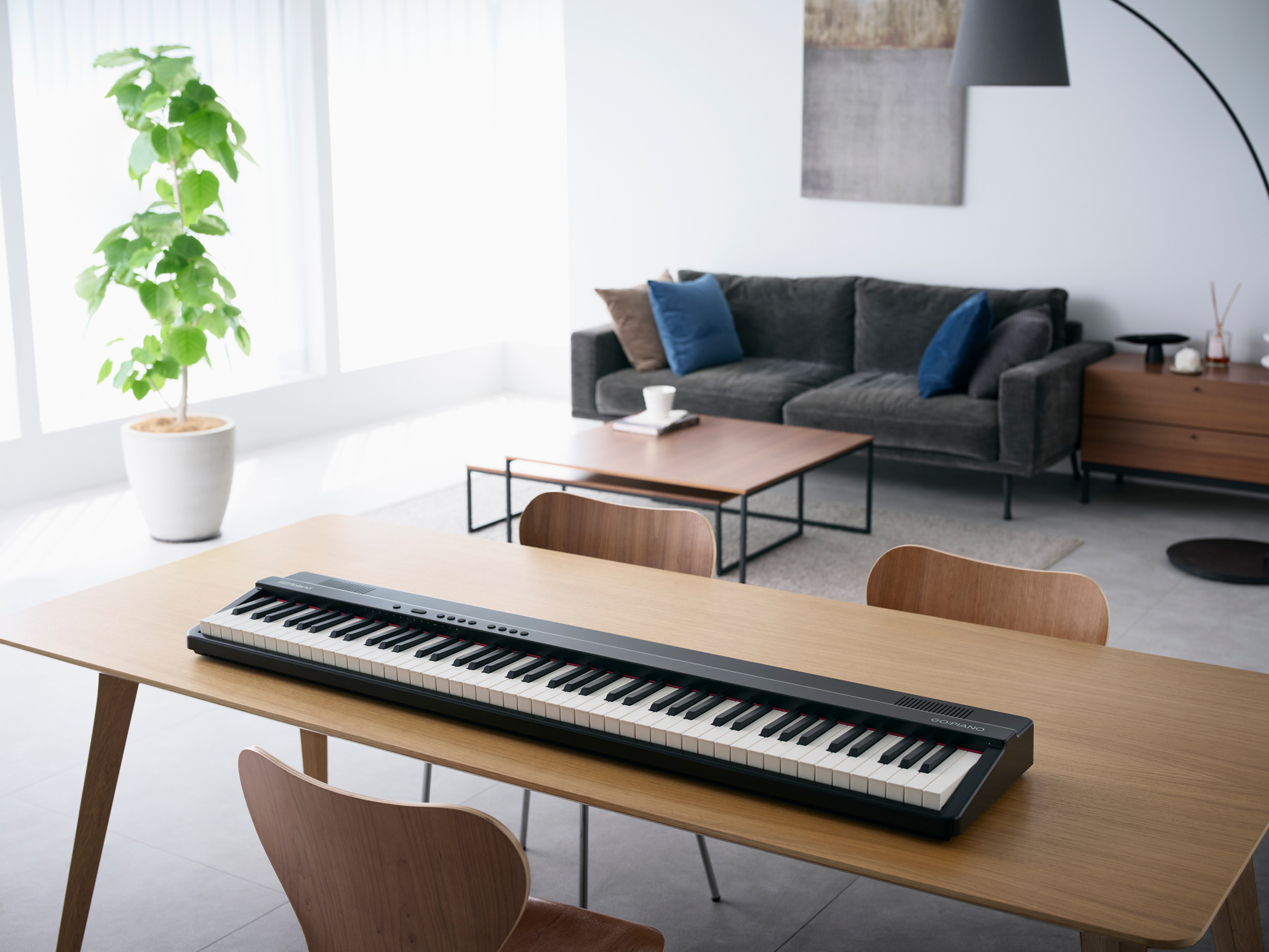 broland-go-piano-88-px-portable-piano-iniciacao-musical-88-teclas-b_683d8d07764e8.jpg