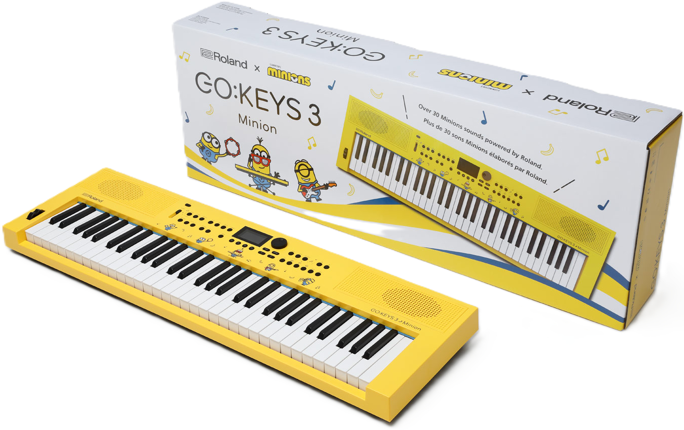 broland-gokeys-3-minion-inspired-by-illuminations-minions-b_6aaa674276644.jpg