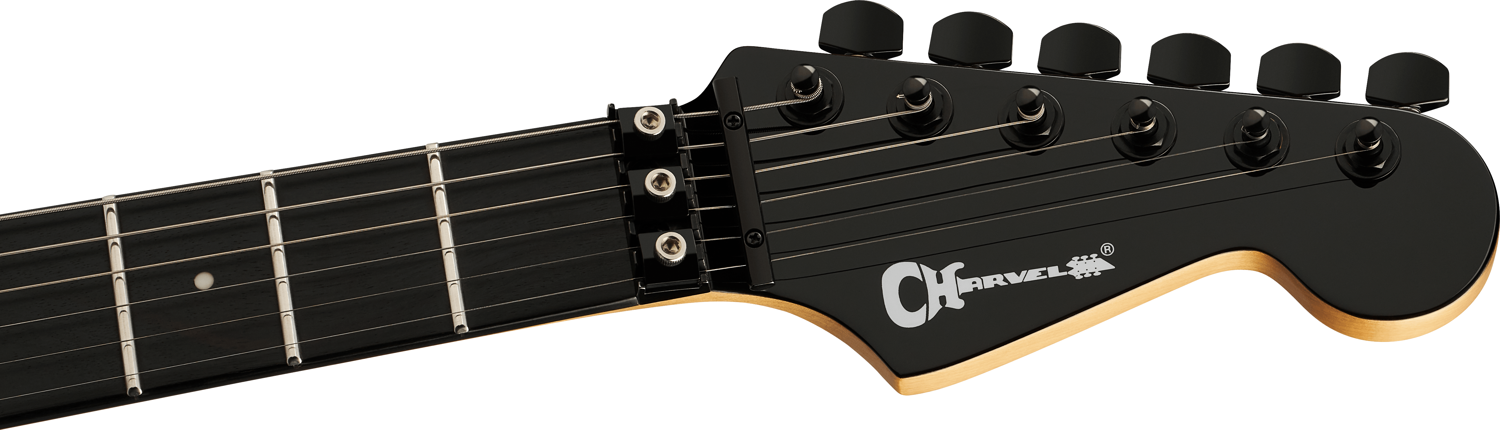 charvel-pro-mod-plus-dinky-dk24-hh-fr-qm-cem_6acdfb41b27e4.png