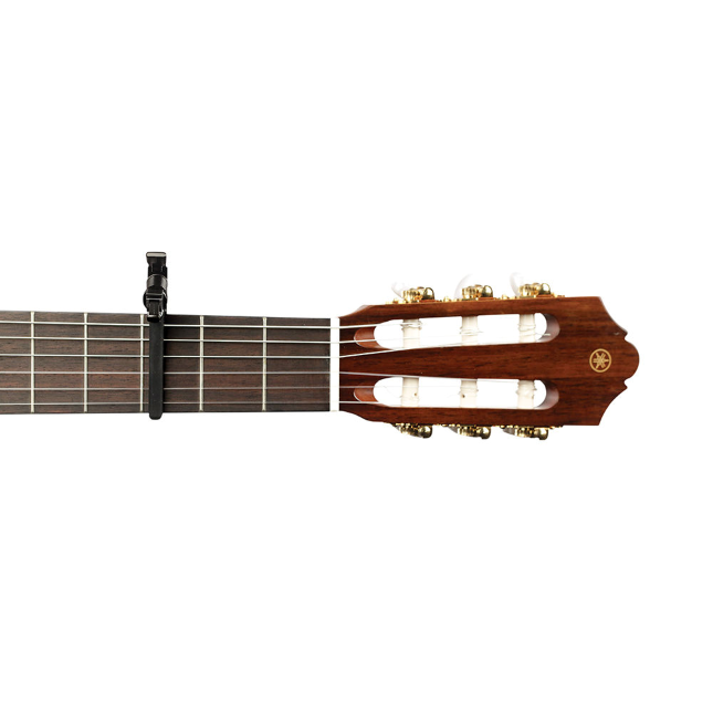 daddario-capo-transpositor-pw-cp-13_63a98ff17cf08.png