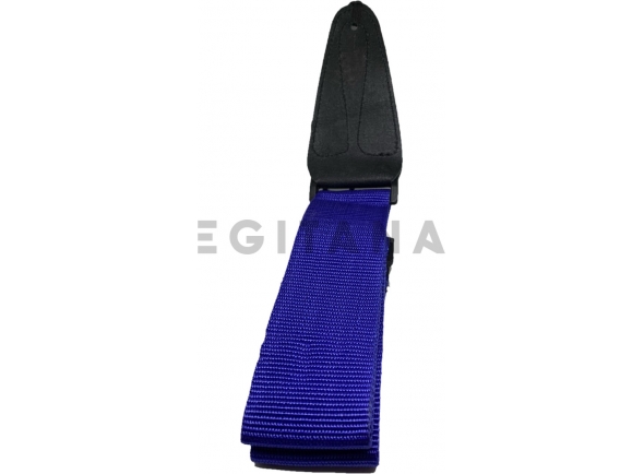 egitana-correia-guitarra-simples_6836f6e783f24.jpg