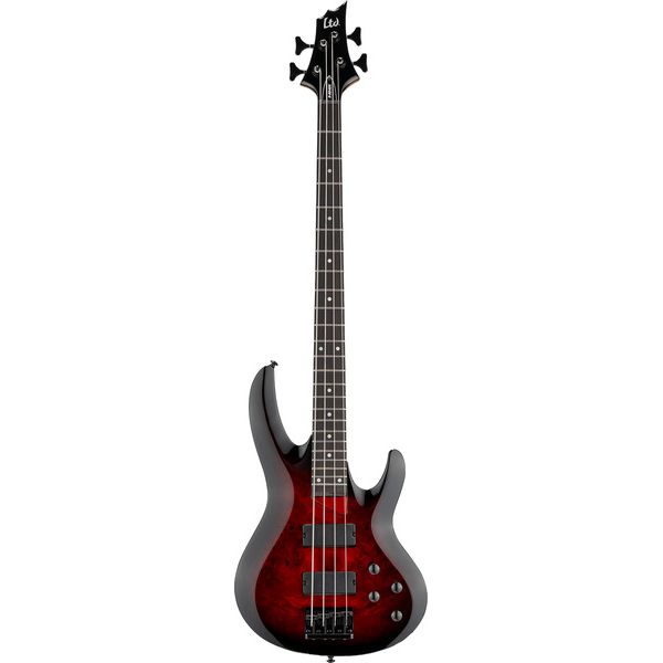 esp-ltd-b-204dx-rb_69f89a7e5b167.jpg