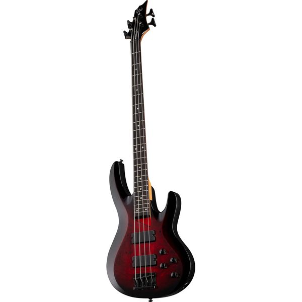 esp-ltd-b-204dx-rb_69f89a805d25d.jpg
