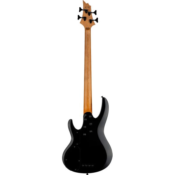 esp-ltd-b-204dx-rb_69f89a8252e03.jpg