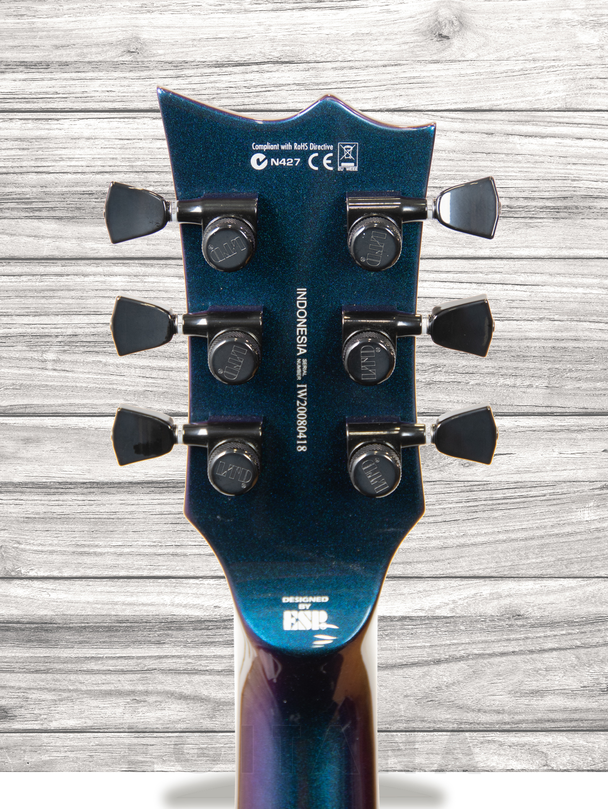 esp-ltd-ec-1000-vland_60929ff2af548.jpg