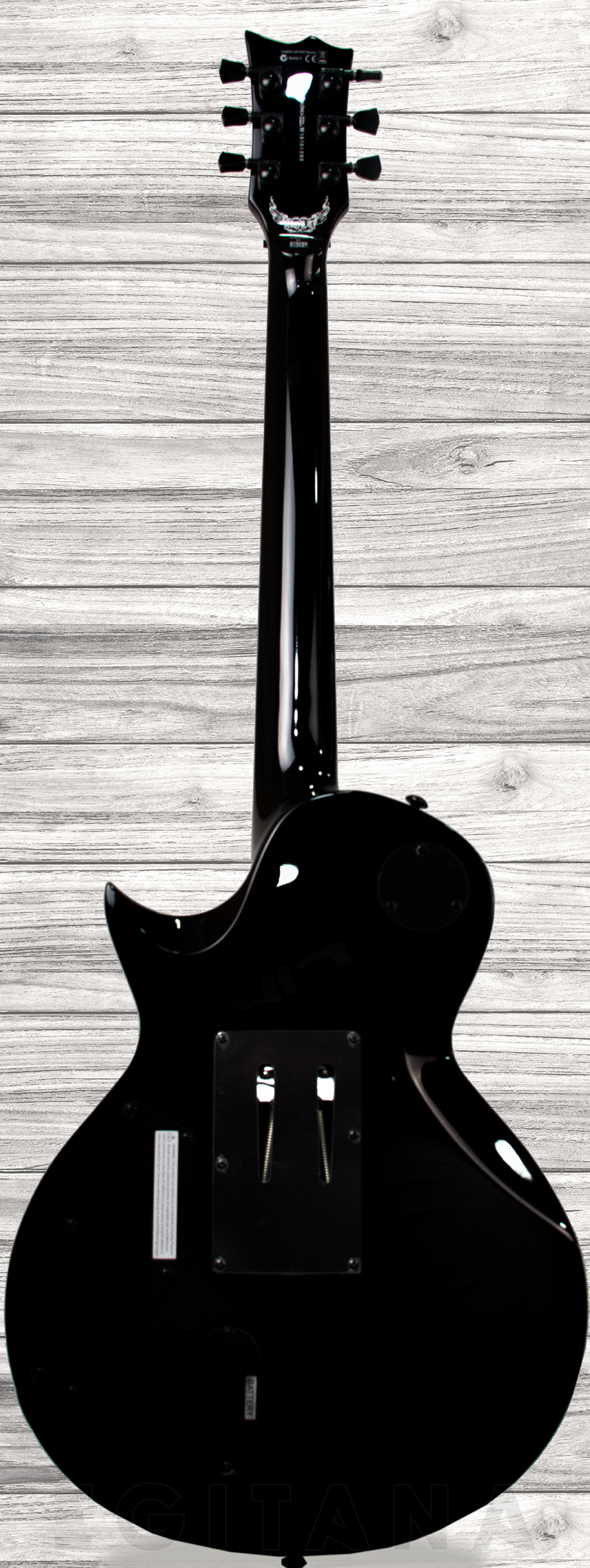 esp-ltd-gh-600-gary-holt_603f5d1f16886.jpg