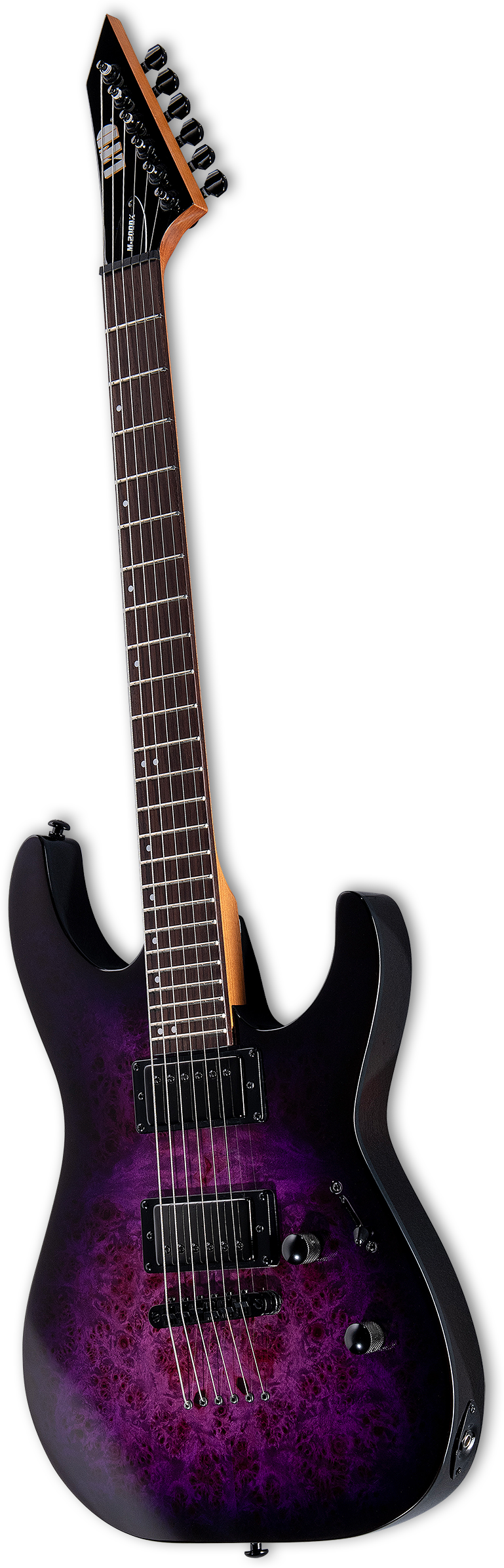 esp-ltd-m-200dx-nt-pb_66fff680c6187.png