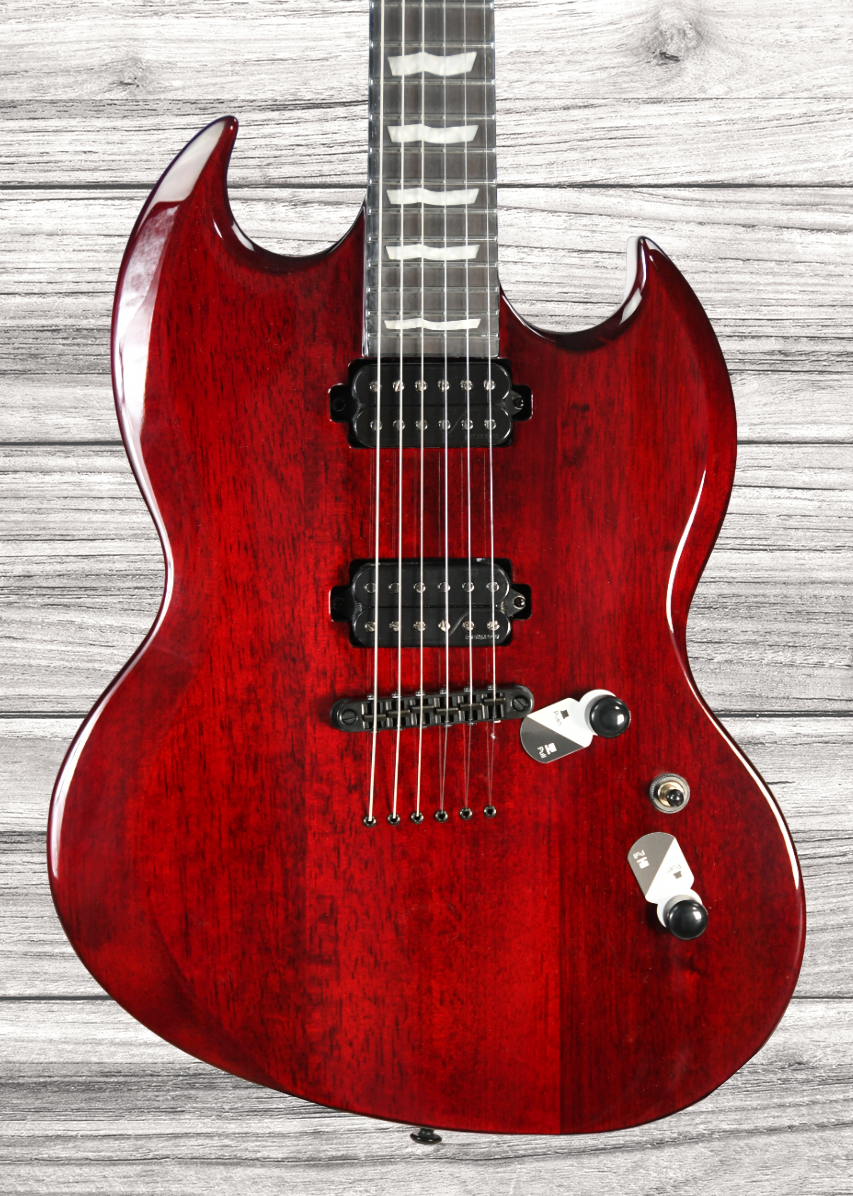 esp-ltd-viper-1000-black-cherry_6421b38a311fc.png