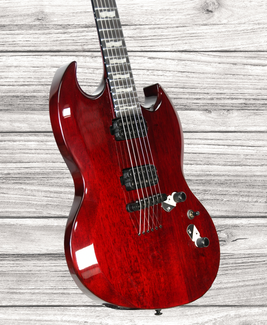 esp-ltd-viper-1000-black-cherry_6421b38aba5a2.png