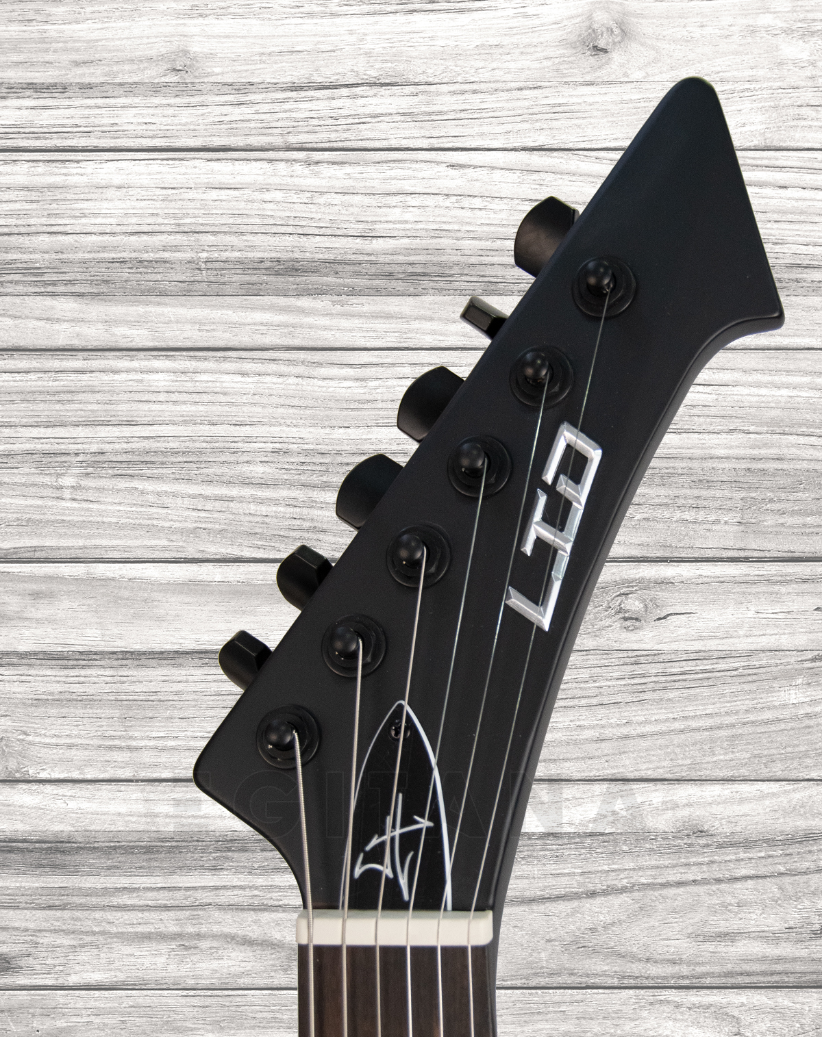 esp-ltd-vulture-bks-hetfield_5f3c06c5a997f.jpg