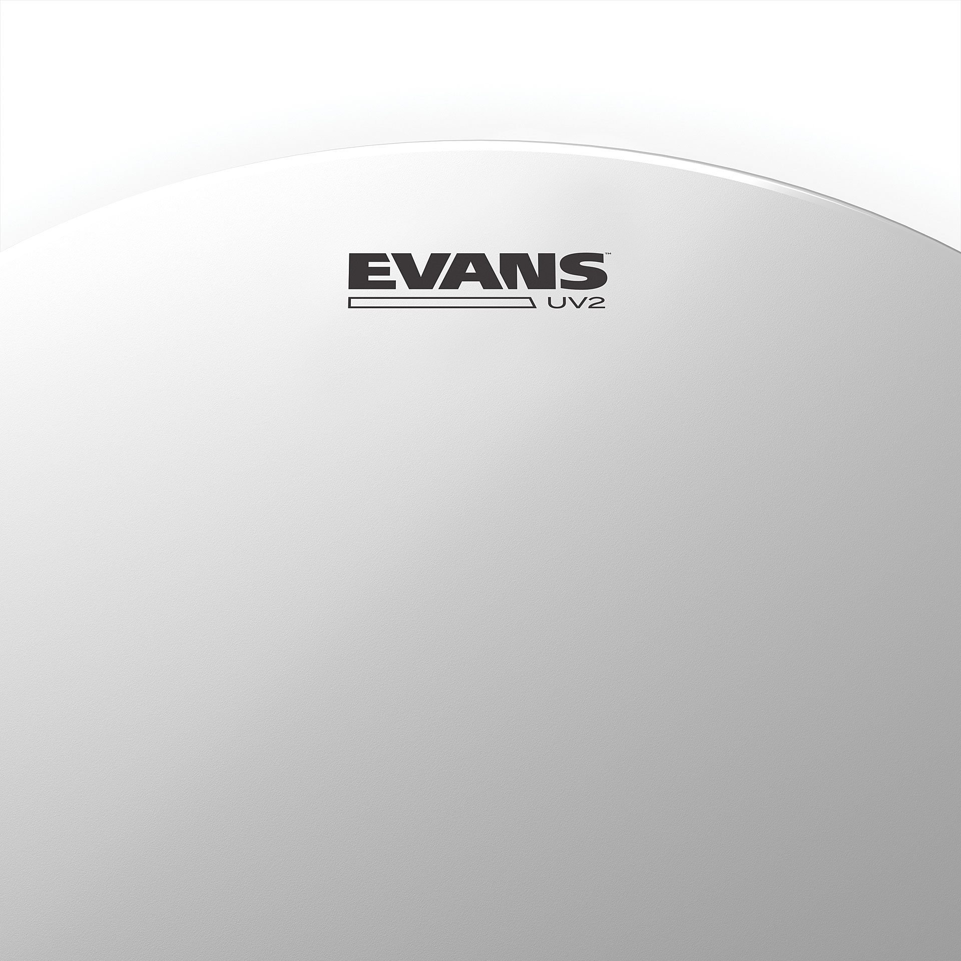evans-10_69160dfcb55b6.png