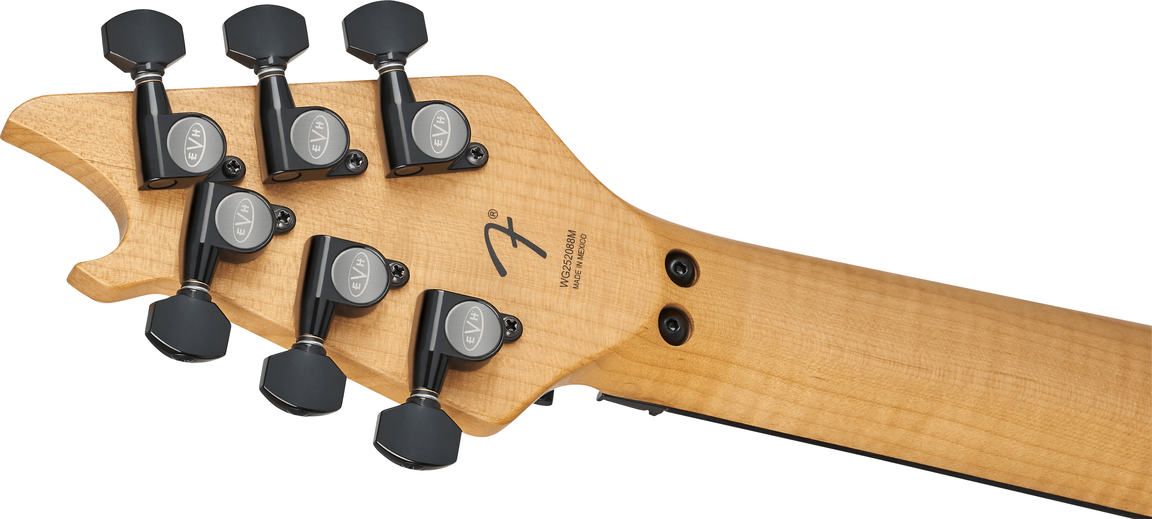 evh_69fb2ef490163.jpg