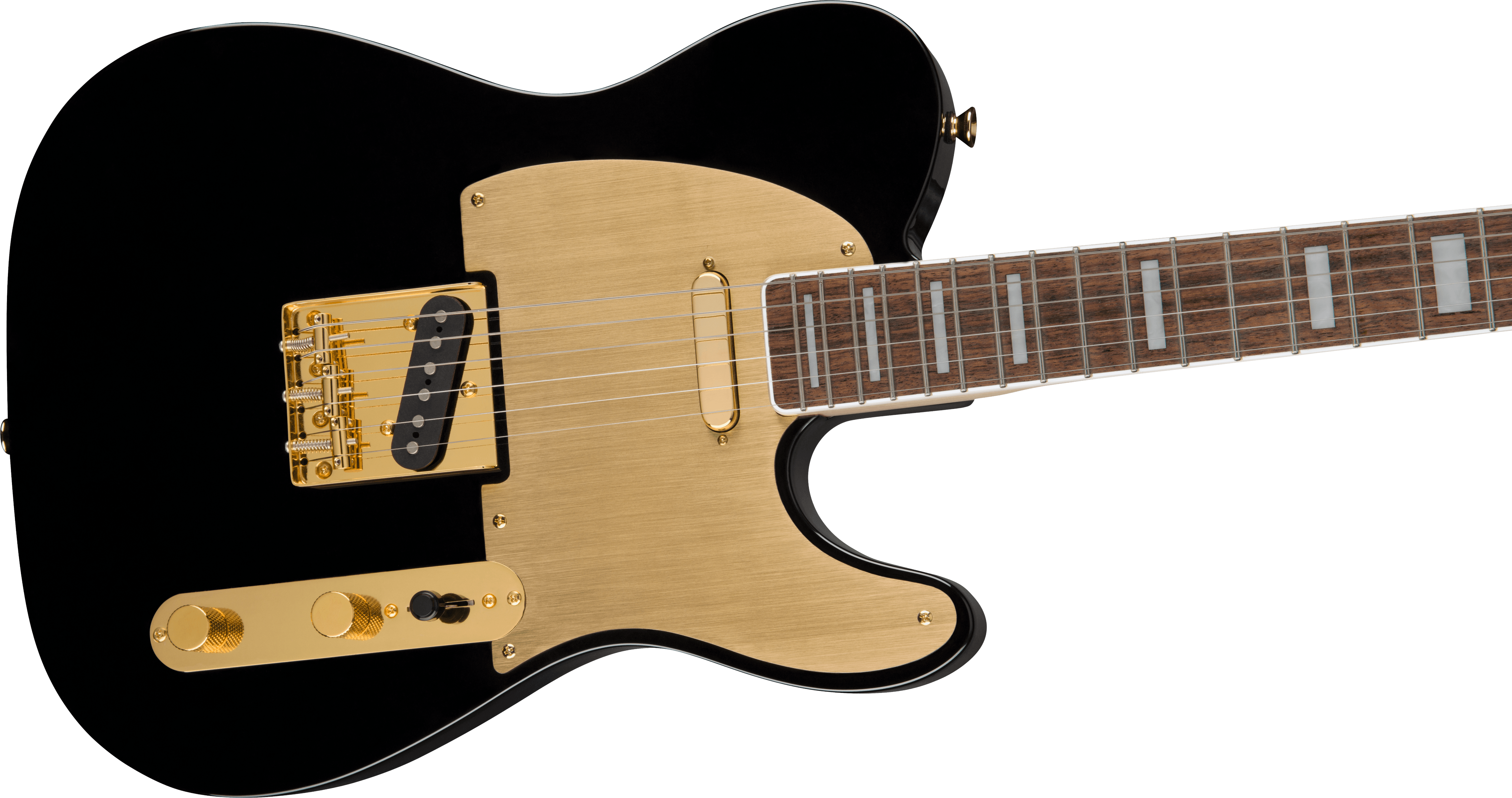 fender-40th-anniversary-gold-edition-laurel-fingerboard-black_620cef16bcfca.png