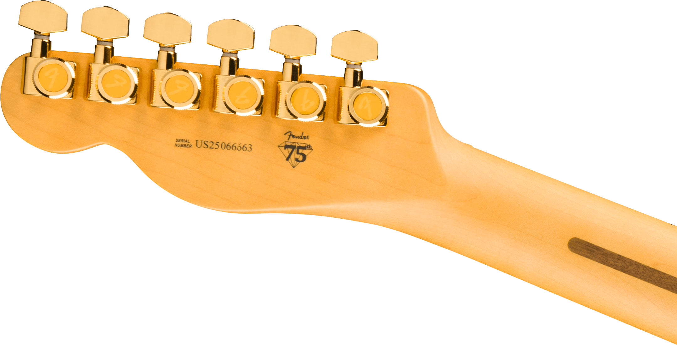 fender-75th-anniversary-american-professional-custom-telecaster-maple-fingerboard-2-color-sunburst_69a0841f183a9.png