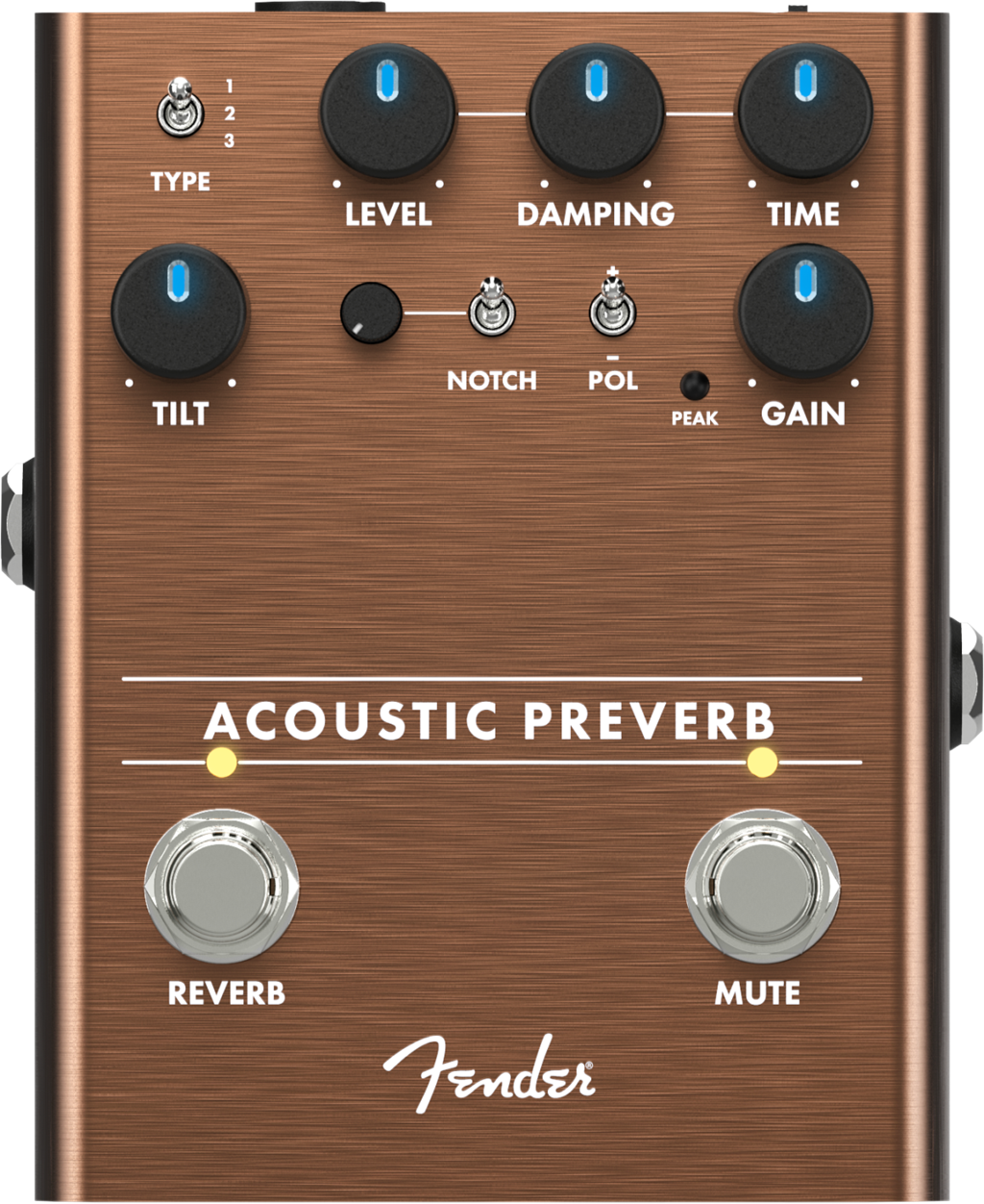 fender-acoustic-preverb_5f8dbe1792192.png