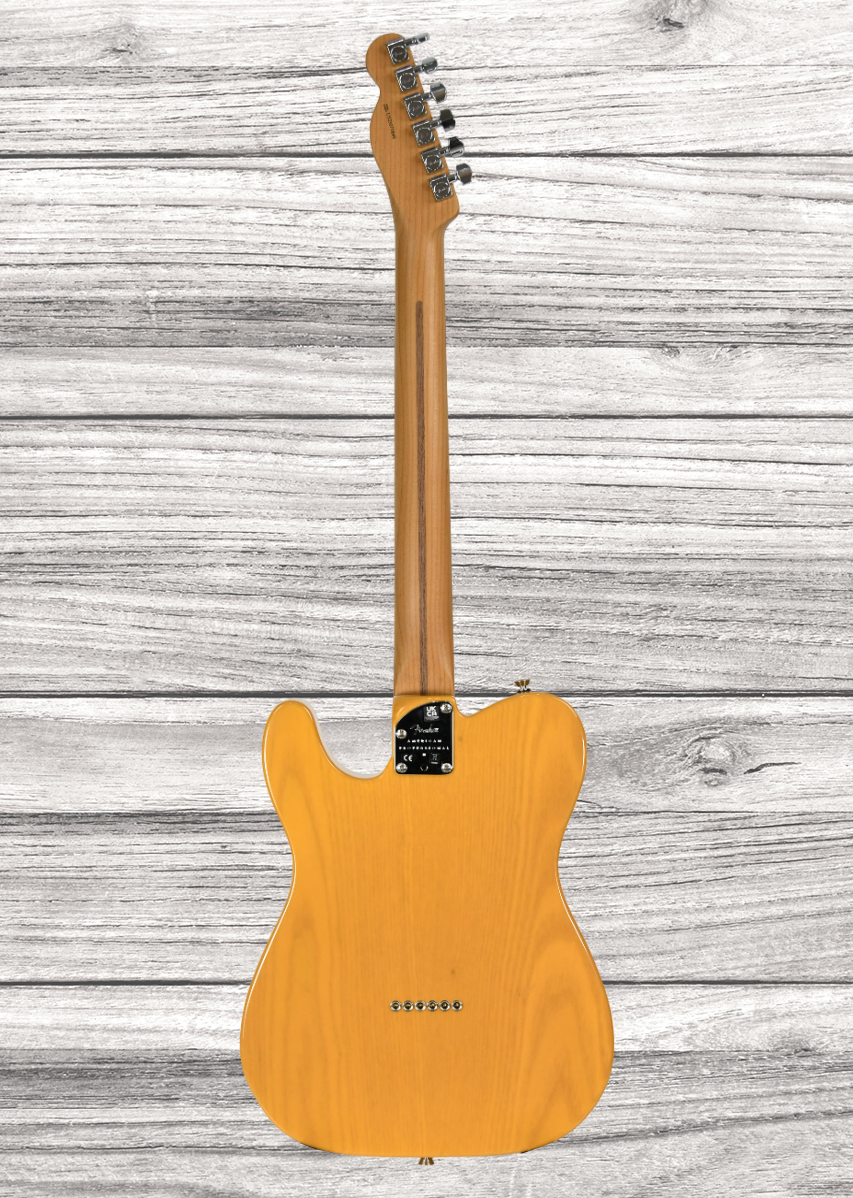 fender-am-pro-ii-tele-mn-btb_667c1818972ae.png