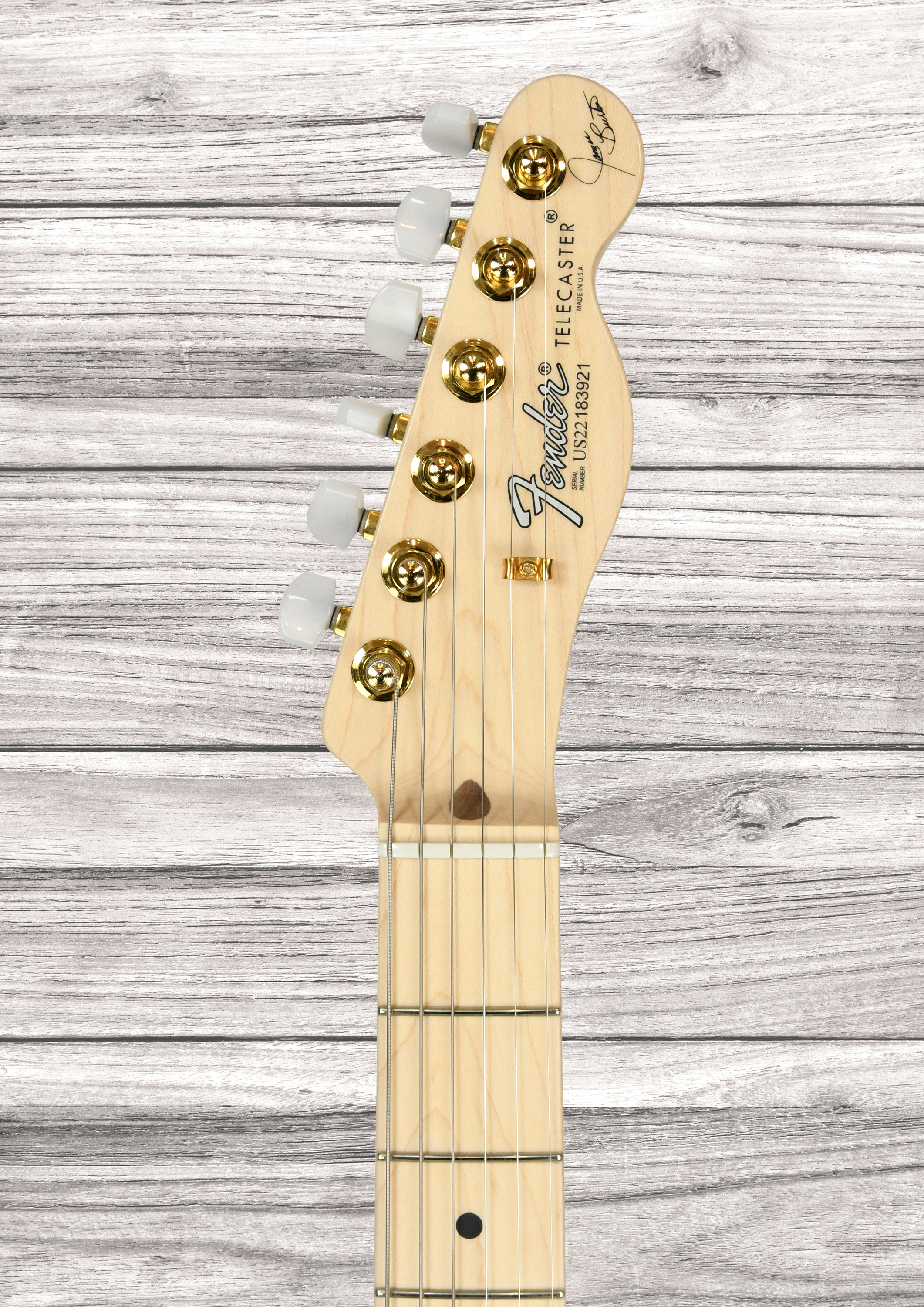 fender-american-james-burton-limited-edition-maple-fingerboard-red-paisley-flames_6908d0ceb1824.png