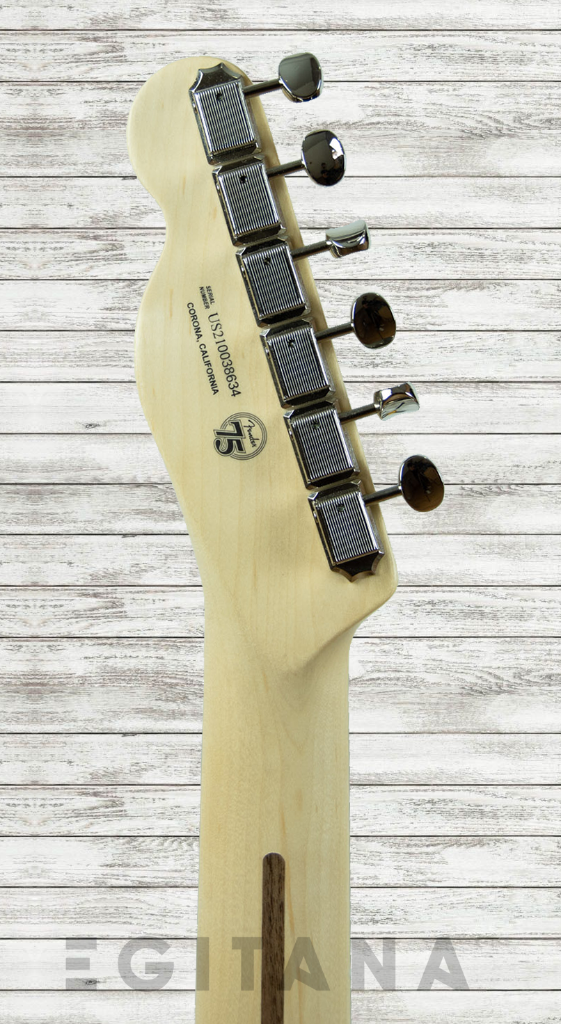 fender-american-perf-tele-rw-hbst_60f83953f2add.png