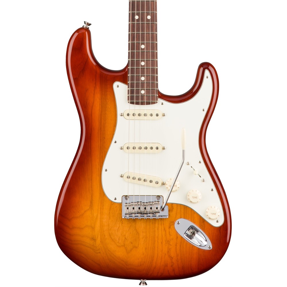 fender-american-pro-stratocaster-rw-ssb-ash_5e30266ec7e30.jpg