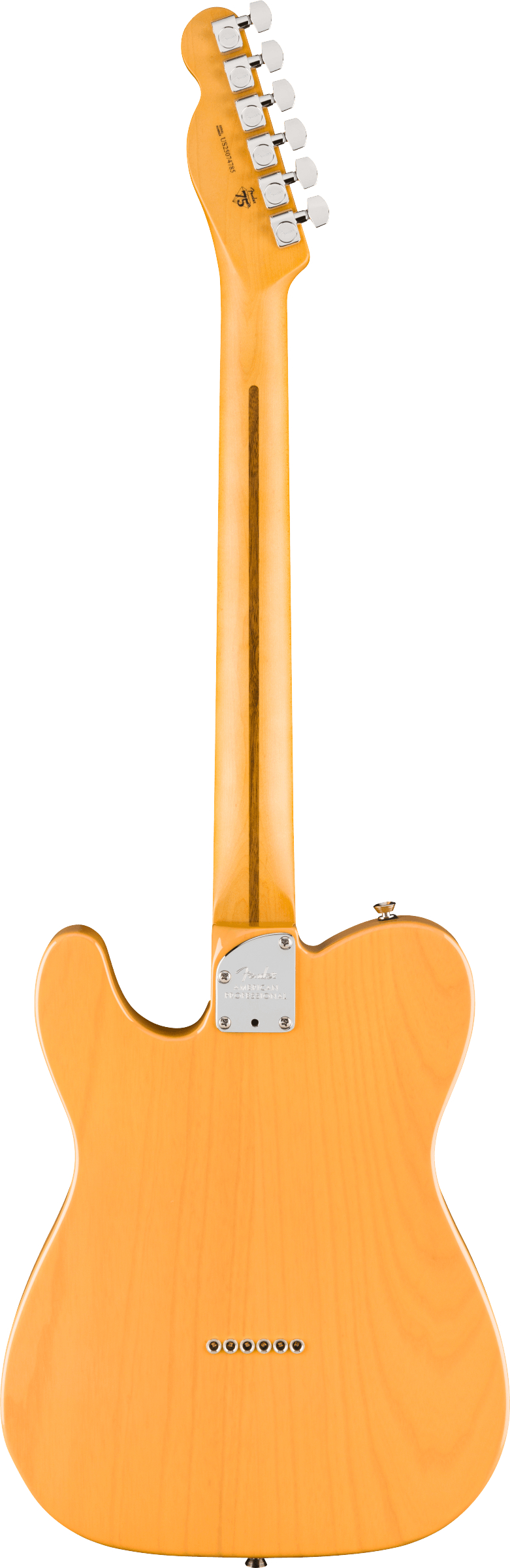 fender-american-professional-hot-shot-telecaster-butterscotch-blonde_6acf3de203b9e.jpg