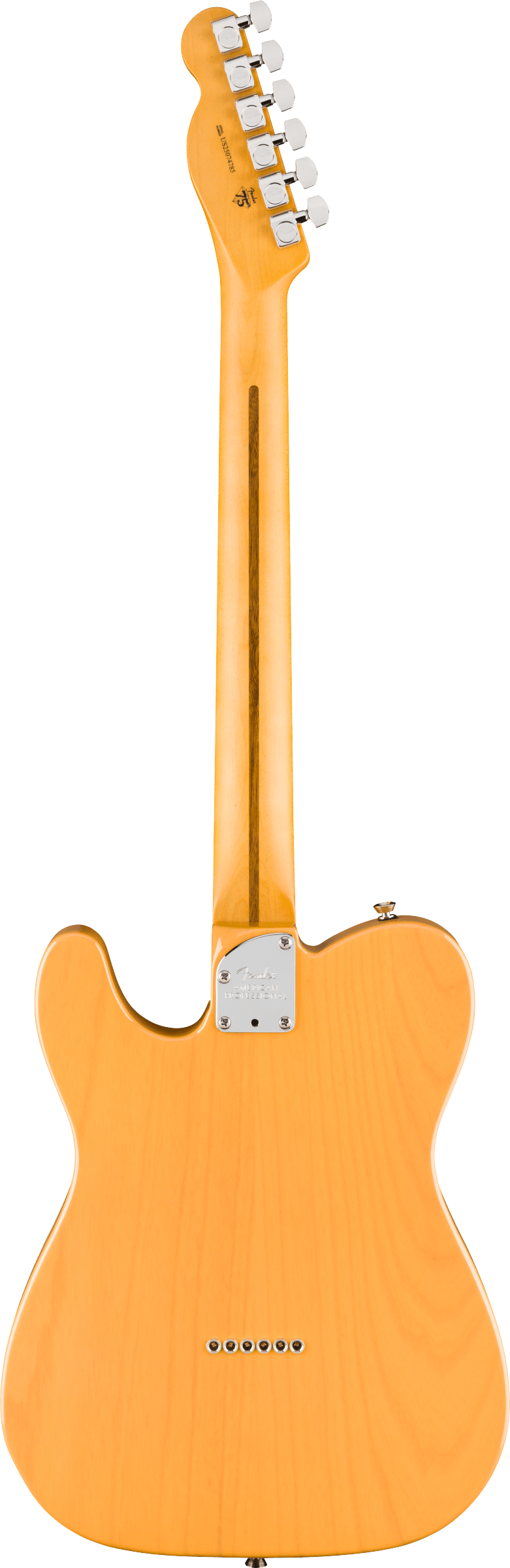 fender-american-professional-hot-shot-telecaster-butterscotch-blonde_6acf3de203b9e.png