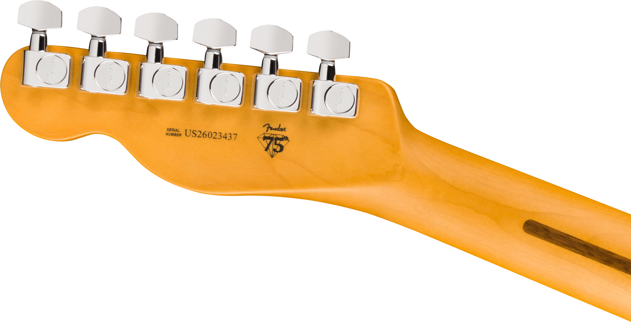 fender-american-professional-hot-shot-telecaster-rw-dark-night_6acf3b95973d7.jpg