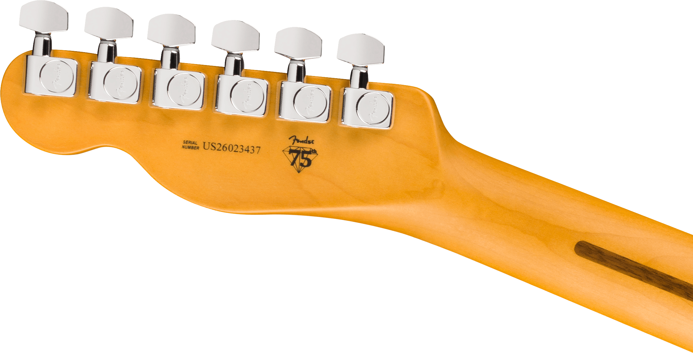 fender-american-professional-hot-shot-telecaster-rw-dark-night_6acf3b95973d7.png