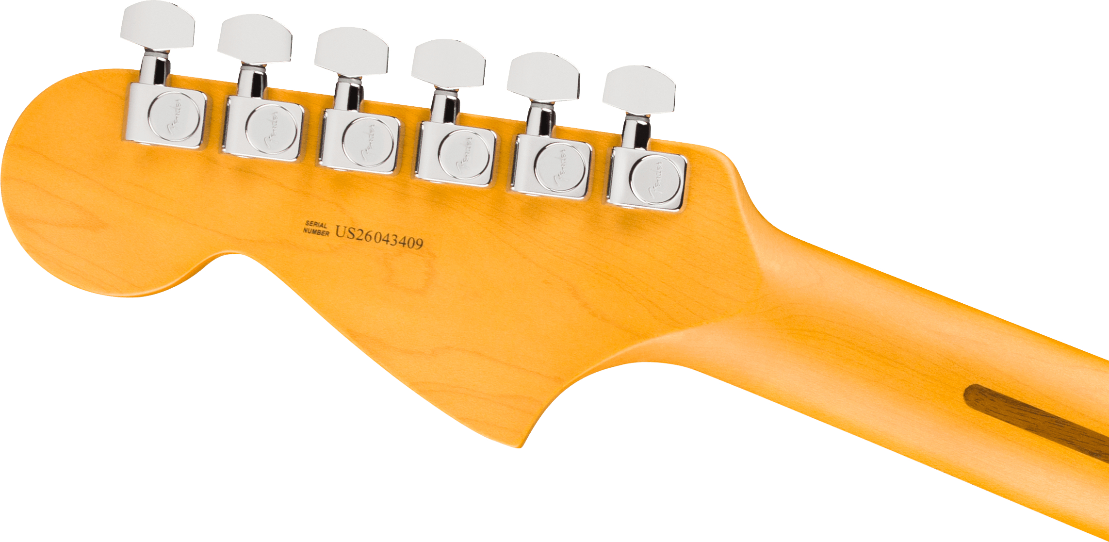 fender-american-professional-jaguar-rw-dark-night_6acf438fd14e5.jpg