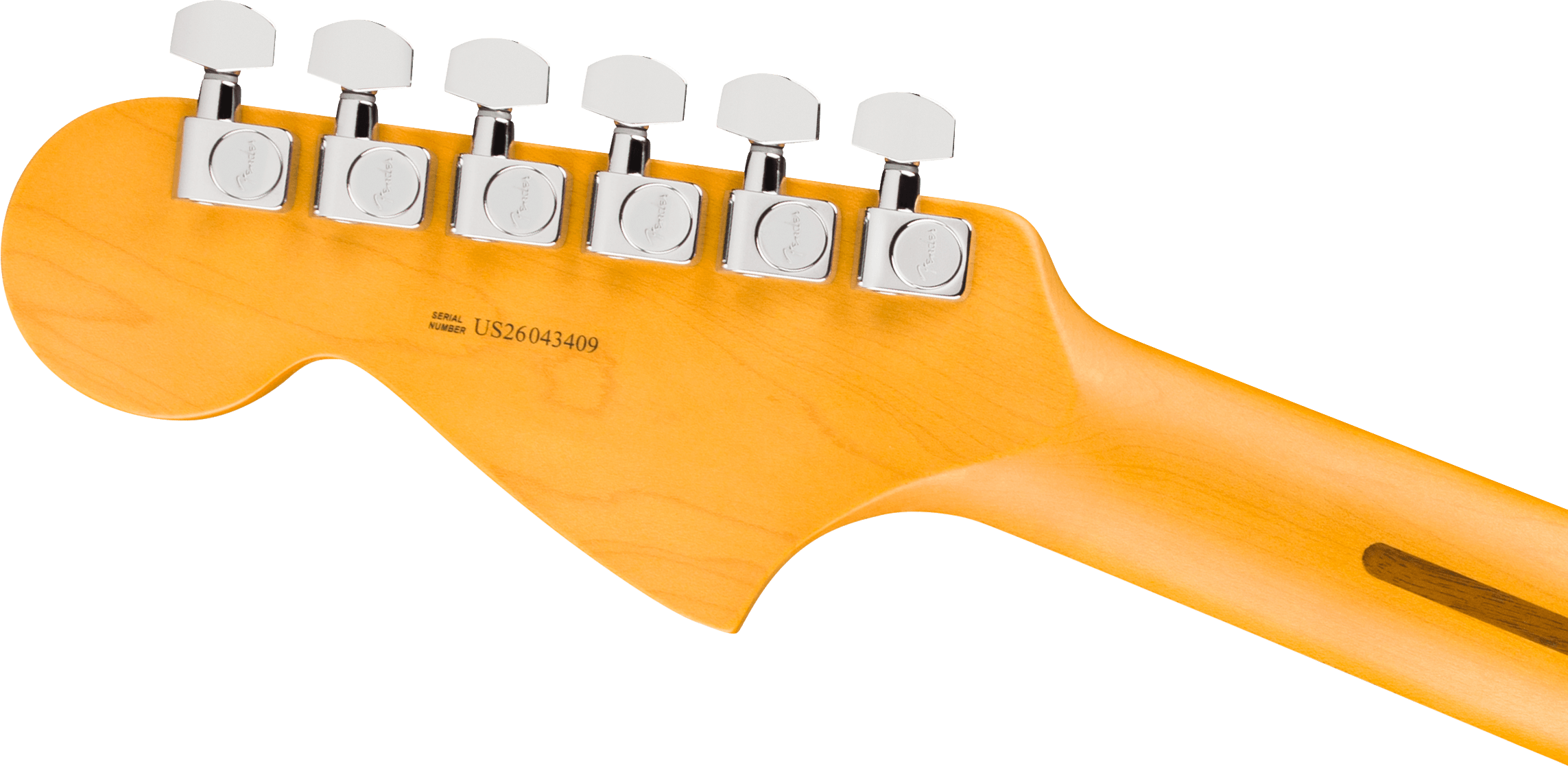fender-american-professional-jaguar-rw-dark-night_6acf438fd14e5.png