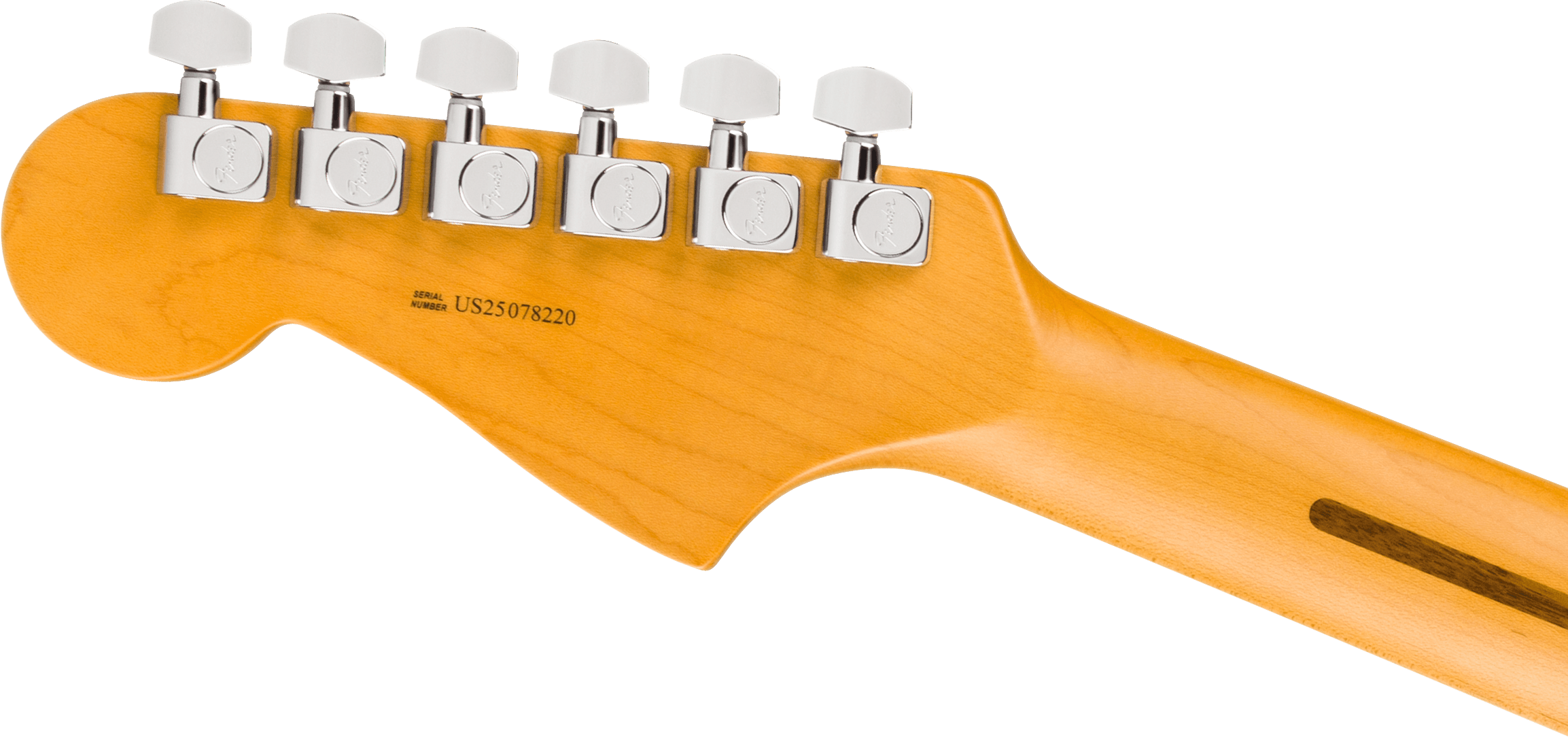 fender-american-professional-jazzmaster-rw-dark-night_6ace38afb8143.png