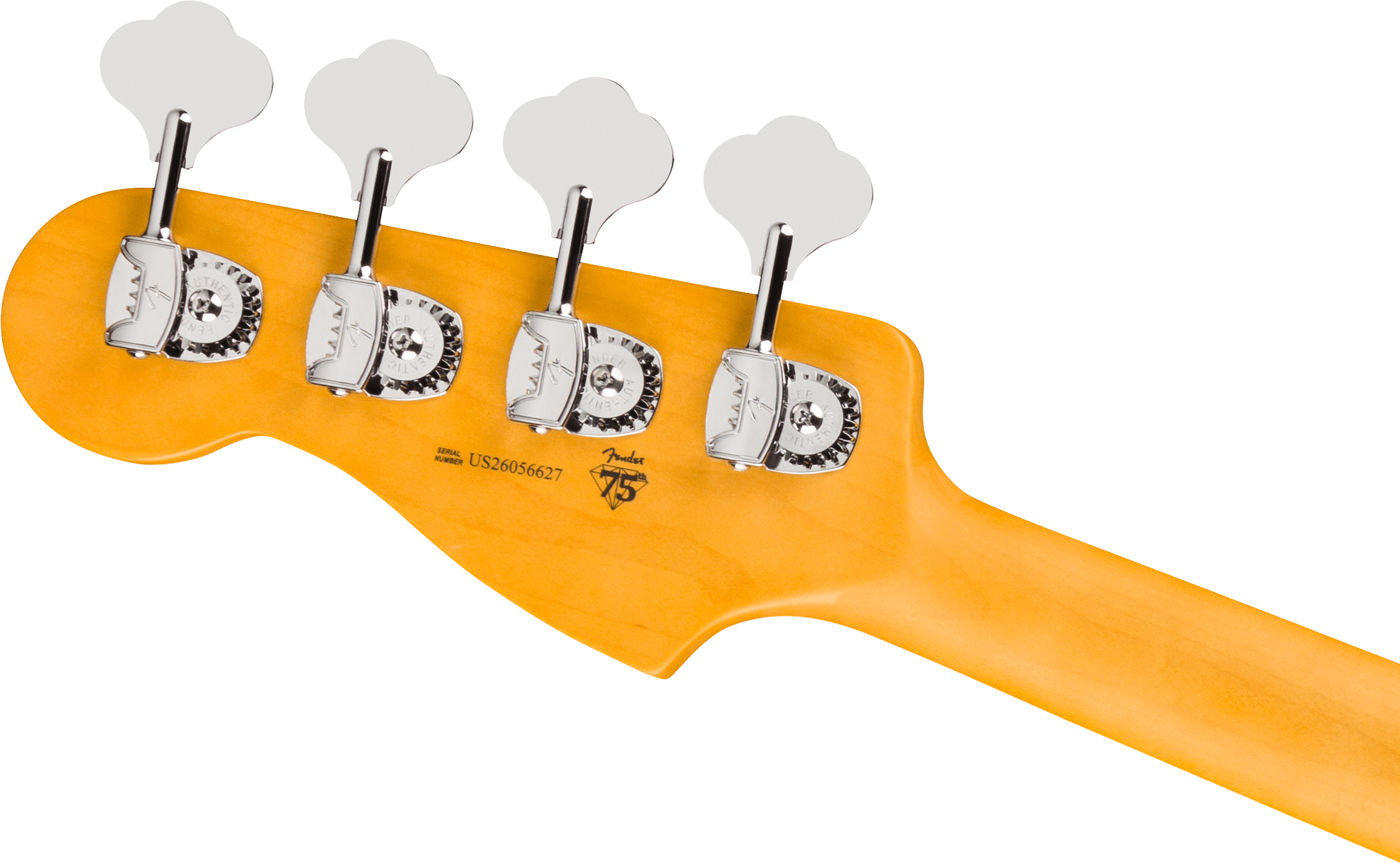 fender-american-professional-precision-bass-rw-dark-night_6acf45c478f79.png
