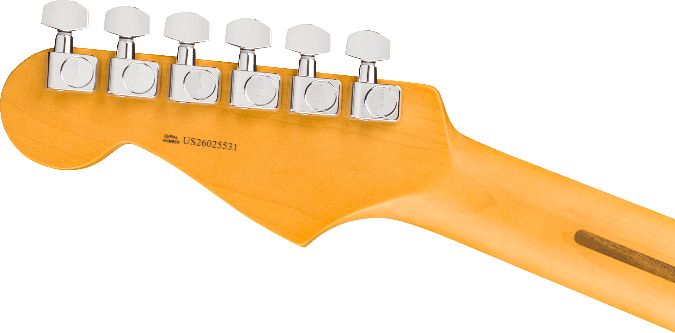 fender-american-professional-stratocaster-dark-night_6ace56d3f1f33.png
