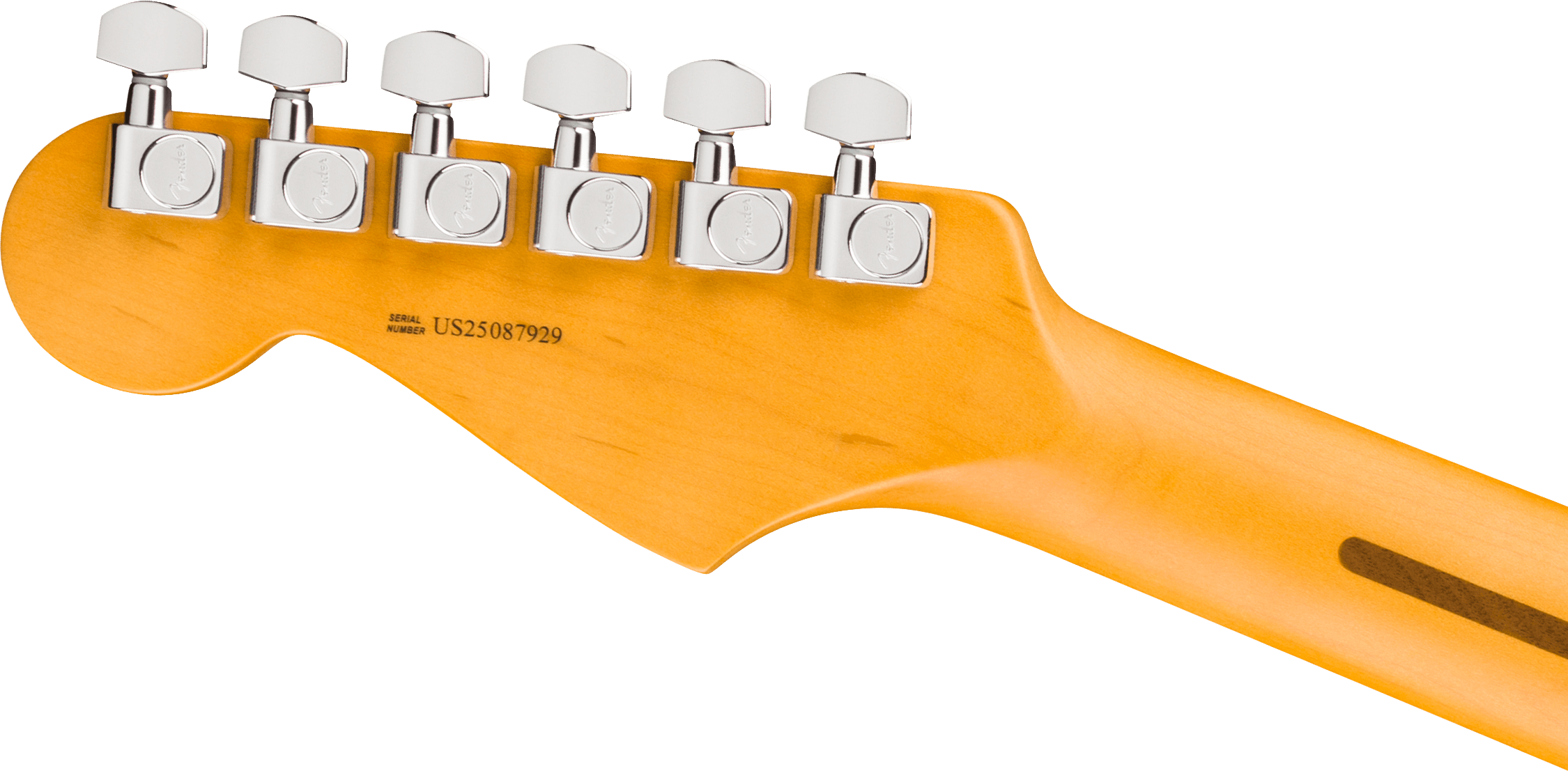 fender-american-professional-stratocaster-rw-dark-night_6ace4b1469510.png