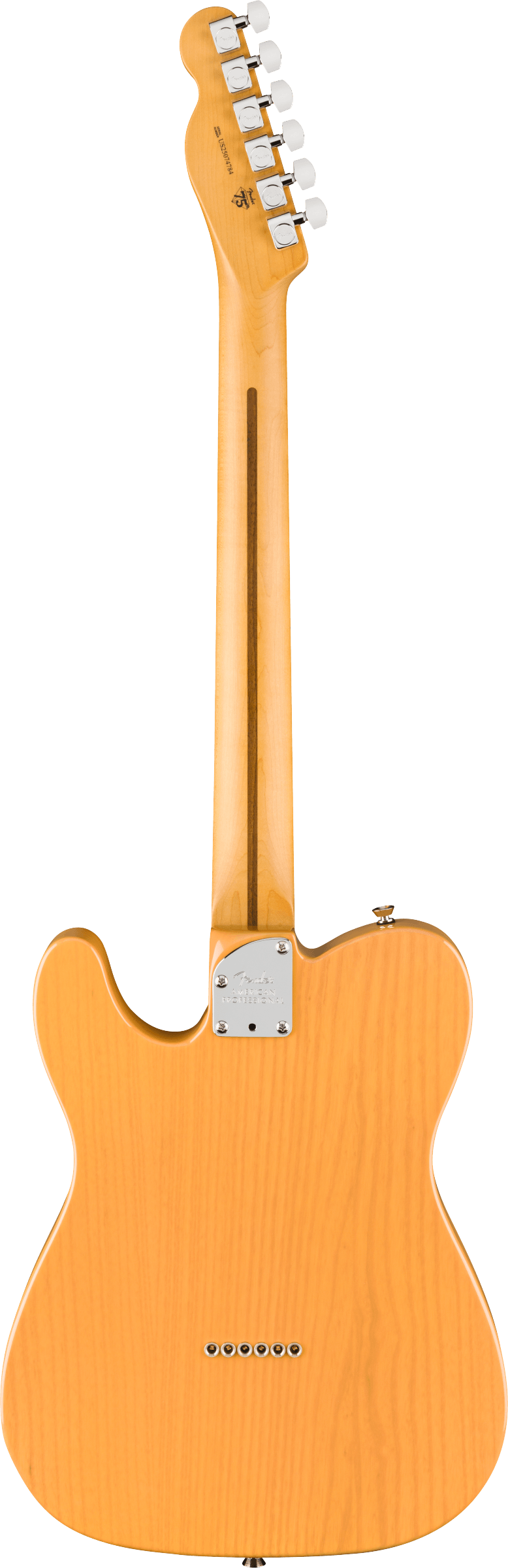 fender-american-professional-telecaster-butterscotch-blonde_6ace42832eef3.png