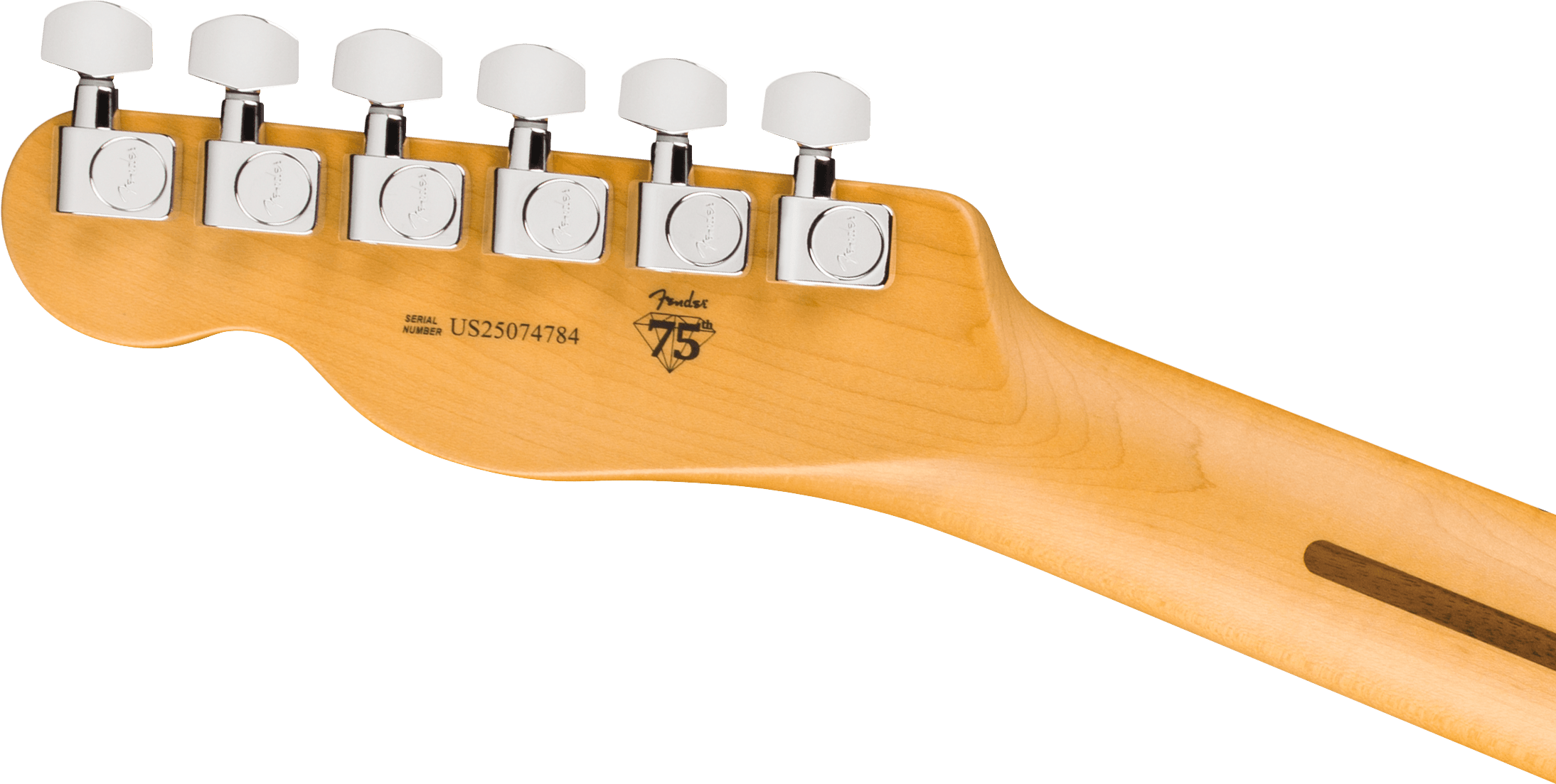 fender-american-professional-telecaster-butterscotch-blonde_6ace428e4c3b1.png