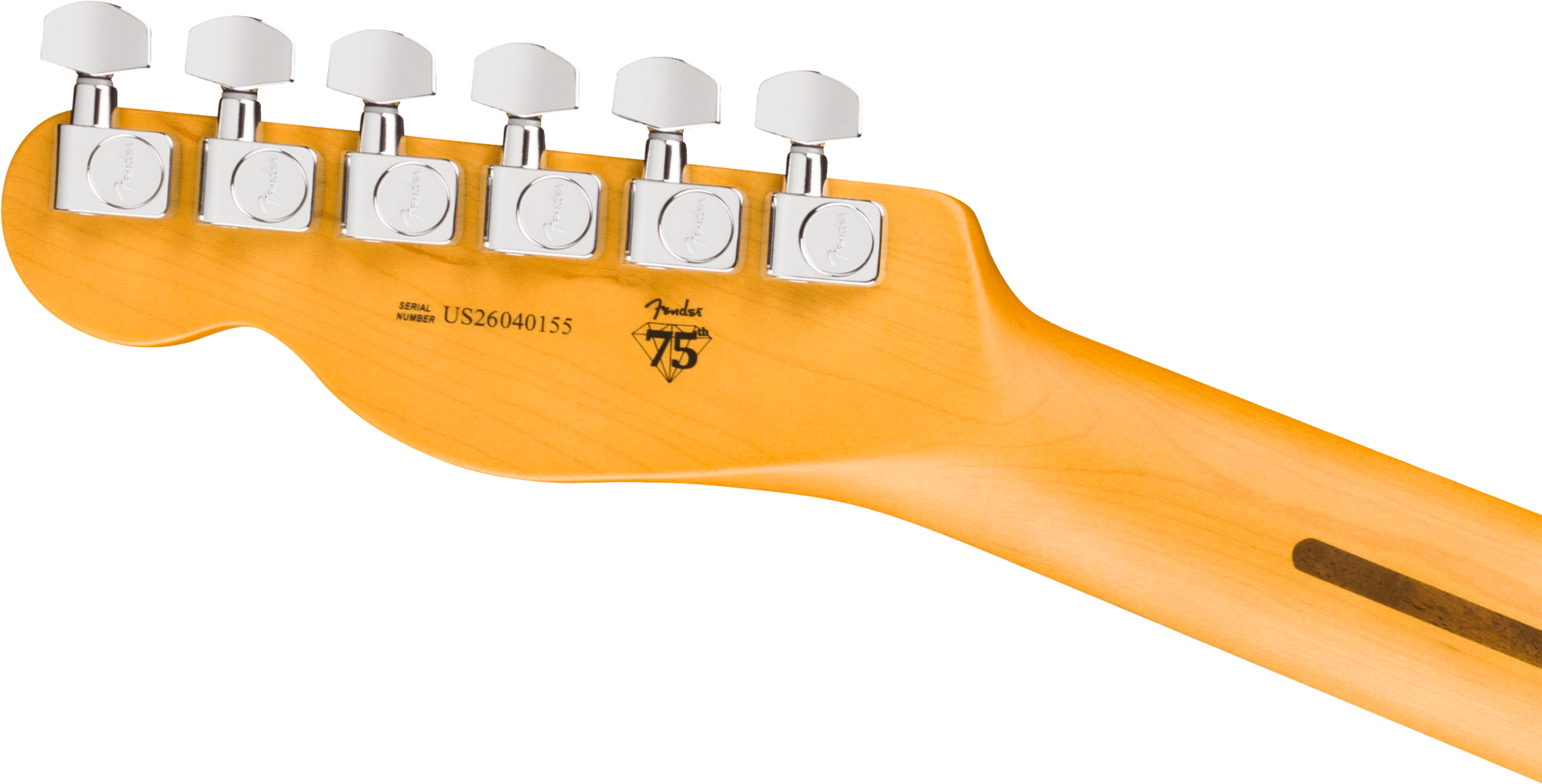 fender-american-professional-telecaster-rw-dark-night_6ace5b2909e7f.jpg