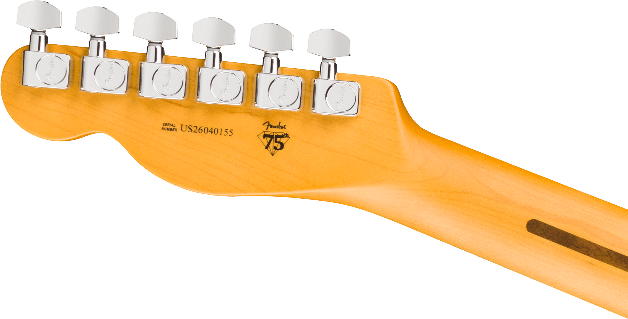 fender-american-professional-telecaster-rw-dark-night_6ace5b2909e7f.png