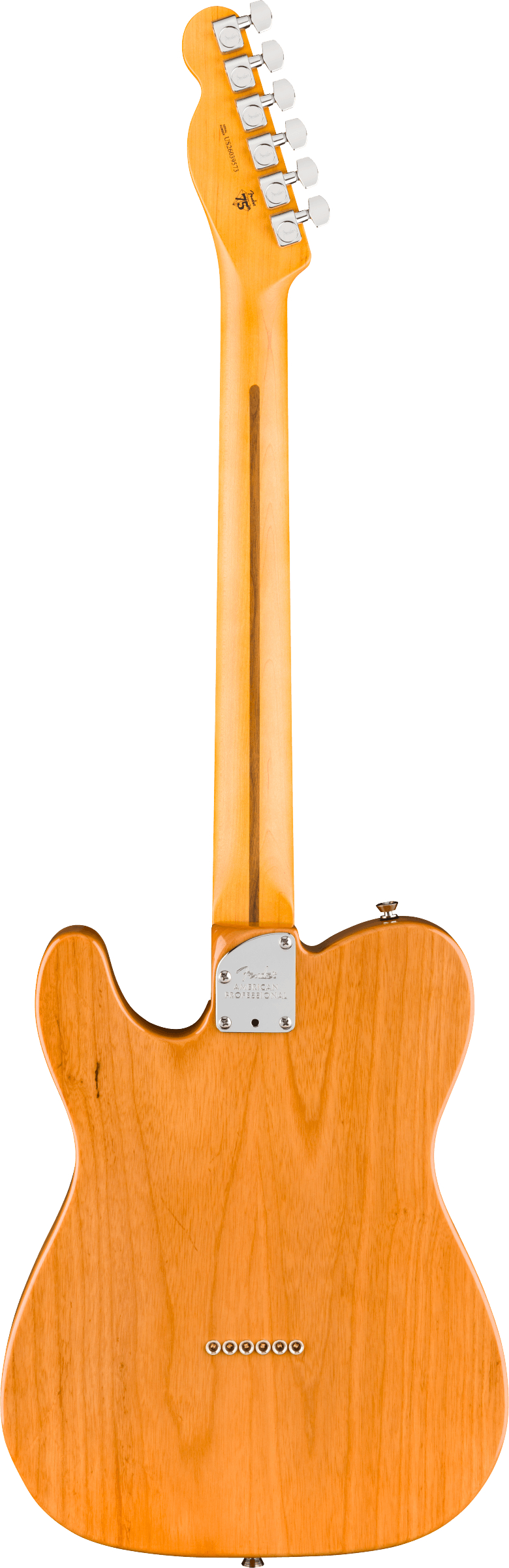 fender-american-professional-telecaster-rw-natural_6ace403790a5e.jpg
