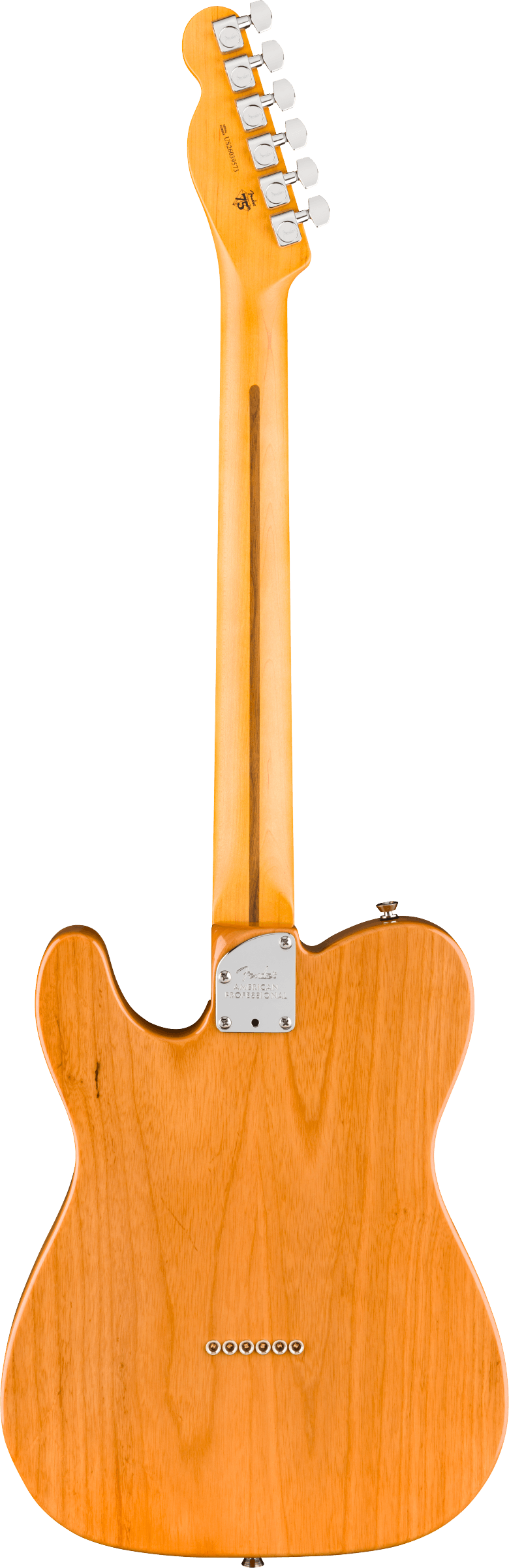 fender-american-professional-telecaster-rw-natural_6ace403790a5e.png