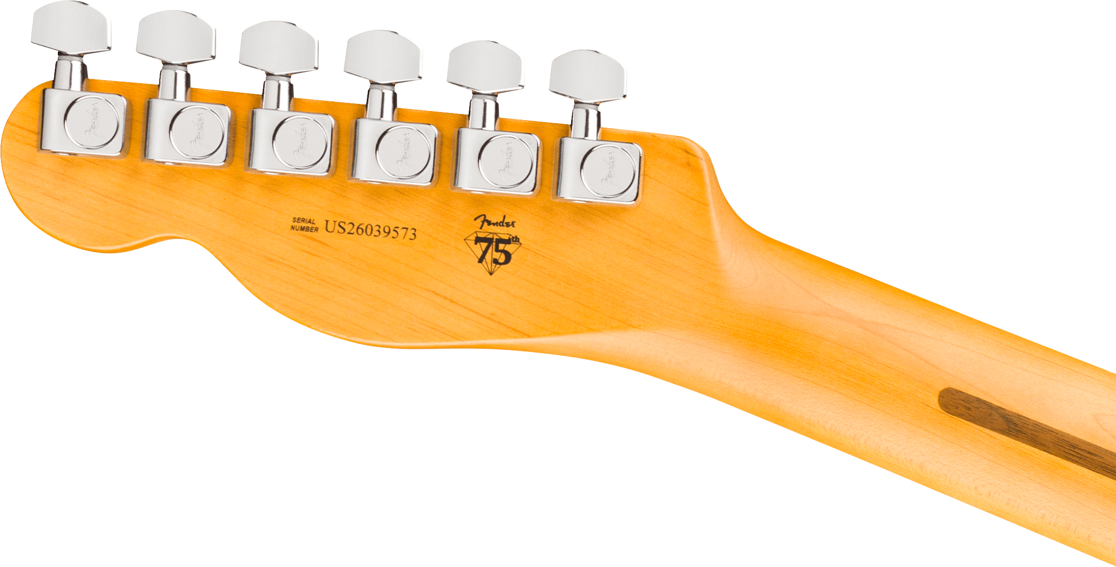 fender-american-professional-telecaster-rw-natural_6ace4042ac62b.jpg